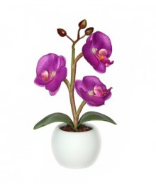 Светильник Старт LED Орхидея 1мал фиолетовый (2хАА)ик старт оптом с доставкой по Дальнему Востоку. Большой каталог светильников старт по низким ценам.