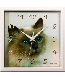 Часы настенные  Салют 28х28  П - 2А8 - 411 СИАМСКАЯ КОШКА пластик квадратные (10/уп)астенные часы оптом с доставкой по Дальнему Востоку. Настенные часы оптом со склада в Новосибирске.