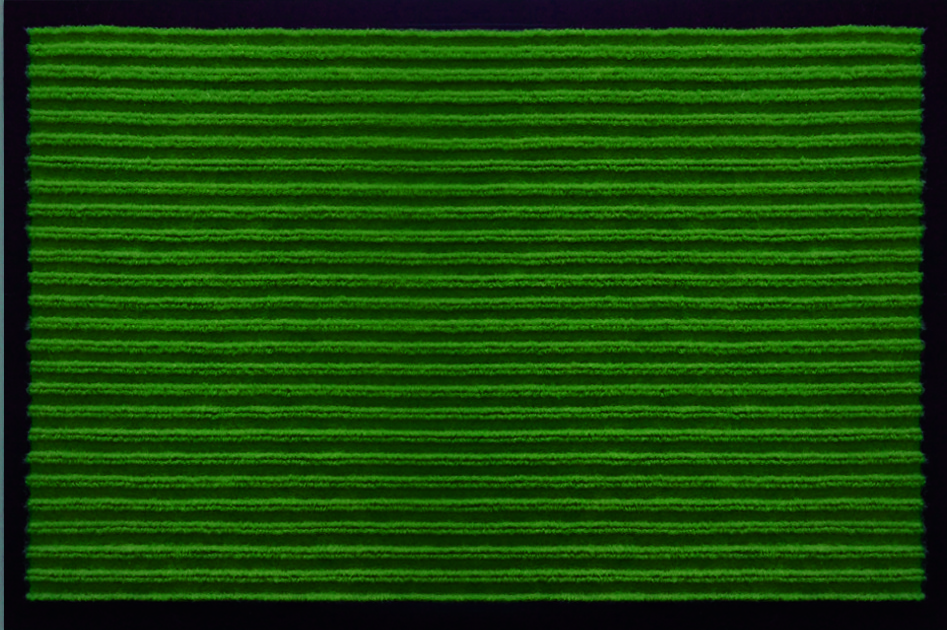 Коврик SUNSTEP влаговпитывающий "Ребристый"  40x60 см, зелёный