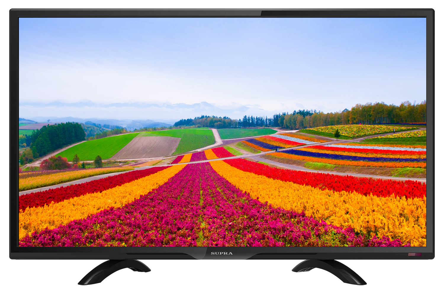 LCD телевизор  SUPRA STV-LC24LT0065W  (24" LED DVB-T2)