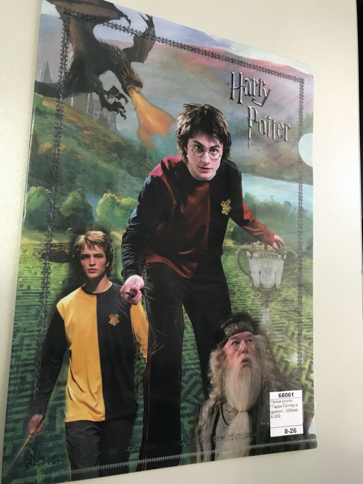 Папка-уголок "Гарри Поттер и дракон", 200мкр, X-309
