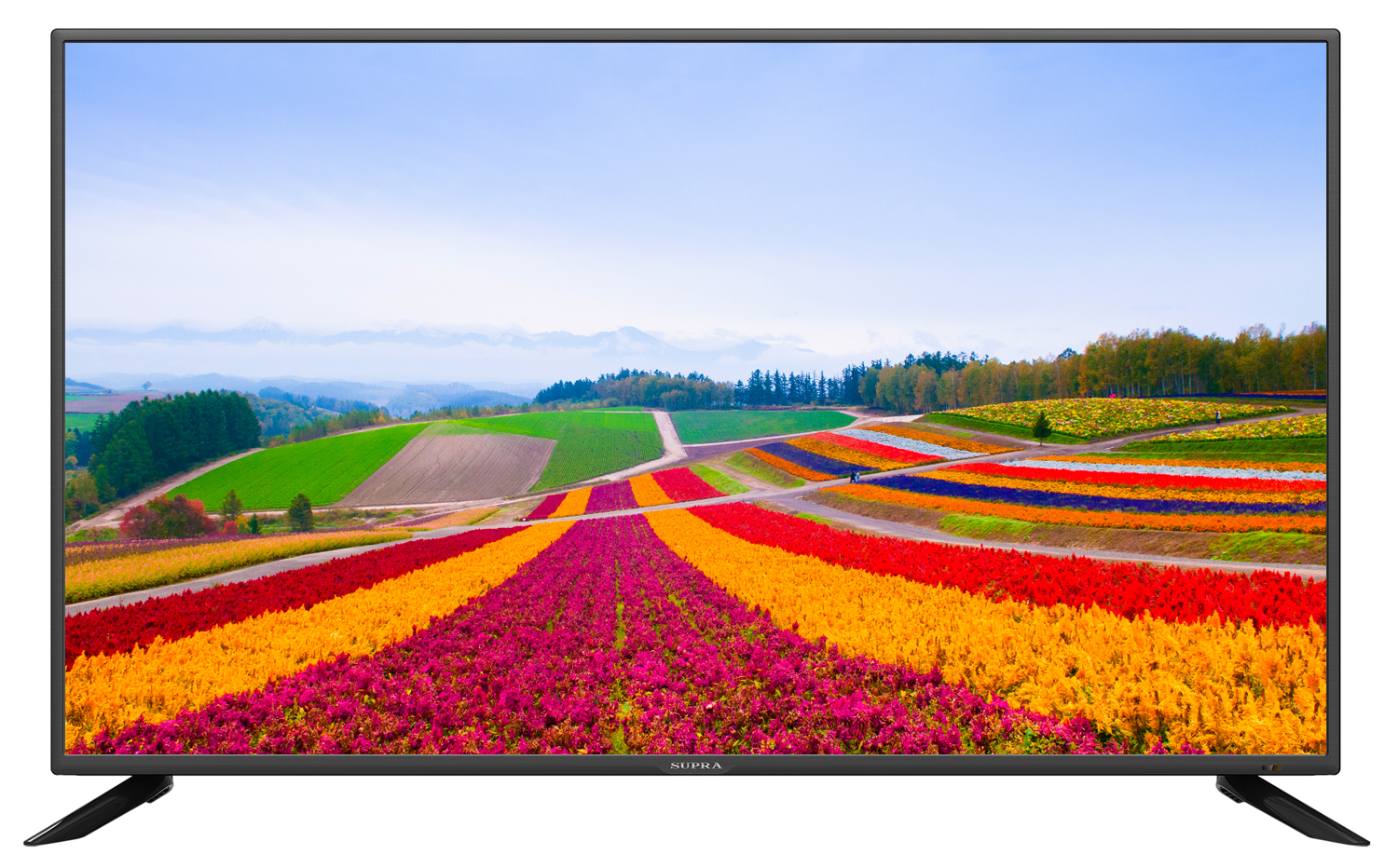 LCD телевизор  SUPRA STV-LC40LT0065F (39" LED Full HD цифр DVB-T2 USB(MKV))