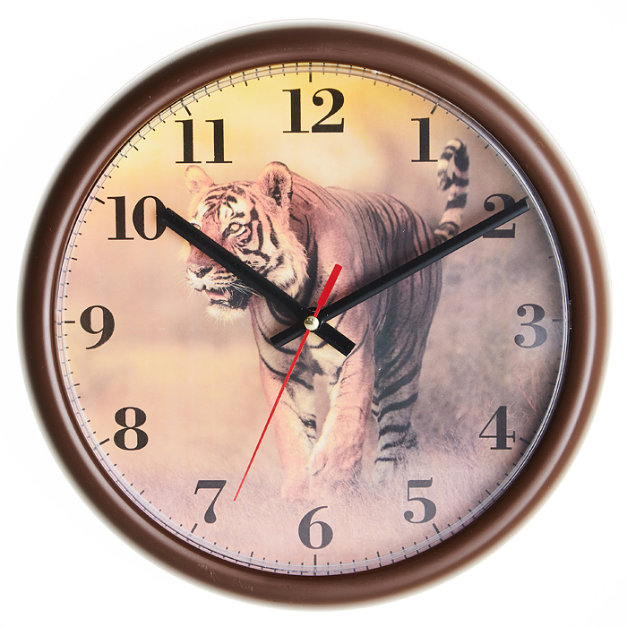 Часы настенные  ВАСИЛИСА ВА-4503А  25 см (10)