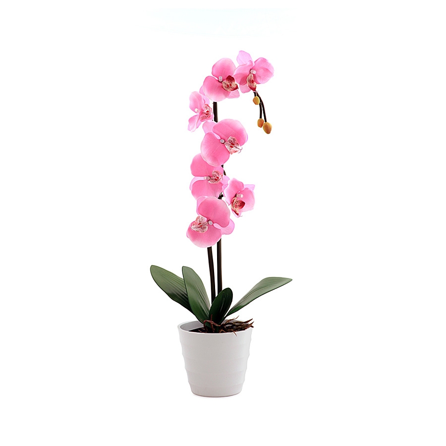 Светильник Старт LED Орхидея 2 Розовый (2хАА)
