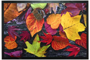 Коврик SUNSTEP интерьерный  "Осенний", 45 х 75 см