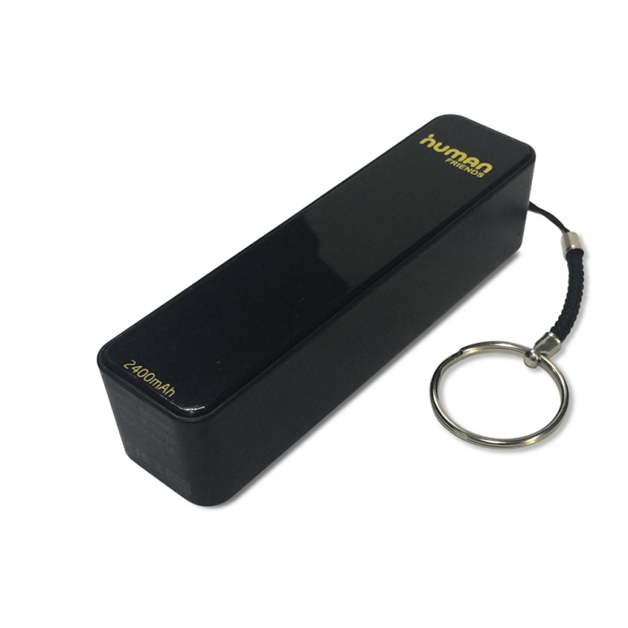 Зарядное устройство Human Friends Stick Power bank универс 2400 mAh, 1A, 1 USB, micro USB,