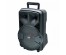 Активная напольная акустика JBK-0901S (чемодан, 12Вт, USB/FM/TF/MIC-6.3мм, акк, ду)