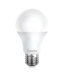 Эл. лампа светодиодная  Smartbuy A60-20W/3000/E27нецк, Ленинск-Кузнецк, Барнаул, Горно-Алтайск, Бийск и др. Большой каталог светодиодных ламп оптом.