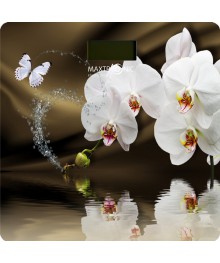 Весы напольные MAXTRONIC MAX-310 Белые орхидеи (электрон, LCD , до 150кг/100г, подар упак) 6/упВесы оптом с доставкой по Дальнему Востоку. Большой каталог весов оптом по низким ценам.