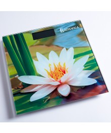 Весы напольные ВАСИЛИСА ВА-4011  "Кувшинка" 180 кг, 26*26см (Россия)(10)Весы оптом с доставкой по Дальнему Востоку. Большой каталог весов оптом по низким ценам.