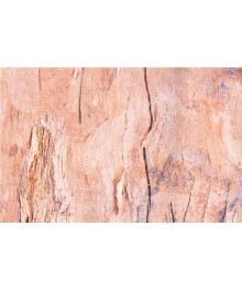 Пленка самоклеющаяся Grace 5255-45 коричнево- персиковое дерево, повышенная плотность, 45см/8мПленка самоклеющаяся оптом с доставкой по РФ по низким цекнам.