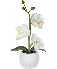 Светильник Старт LED Орхидея 1мал Белый (2хАА)ик старт оптом с доставкой по Дальнему Востоку. Большой каталог светильников старт по низким ценам.