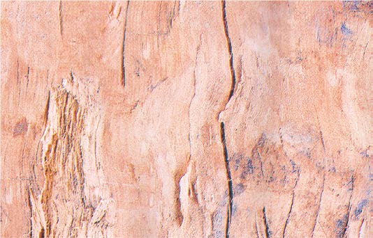 Пленка самоклеющаяся Grace 5255-45 коричнево- персиковое дерево, повышенная плотность, 45см/8м
