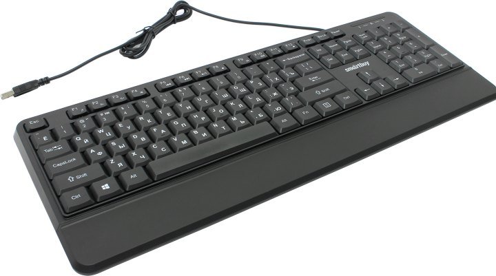 Клавиатура Smartbuy 225 USB Black (SBK-225-K)
