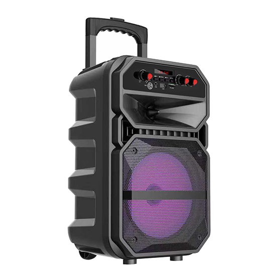 Активная напольная акустика JBK-0809 (чемодан, 15Вт, USB/FM/TF/MIC-6.3мм)ПОВРЕЖДЕНА УПАКОВКА
