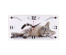 Часы настенные СН 1939 - 019 Серый кот прямоуг. (19x39) (10)