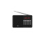 радиопр Ritmix RPR-001 BLACK
