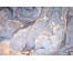 Коврик GRAILY  диатомитовый  40*60 см GR-4060-01d